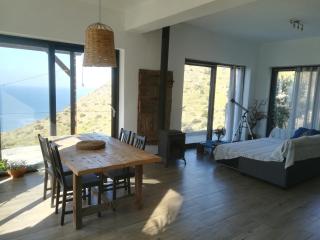 Sea Breeze Ecological Villa - Agia Galini - 1