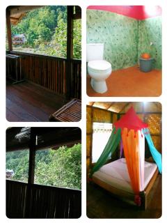 Eriono guest house Bukit lawang - Bukit Lawang - 3