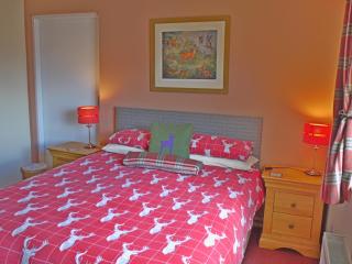 Roe Deer Cottage - 3