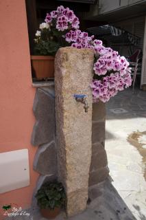 L'Agrifoglio di Emy - Guspini - 1
