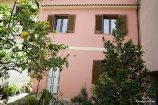 L'Agrifoglio di Emy - 3