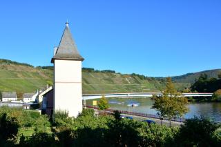 Hotel Zum Fährturm - Mehring - 5