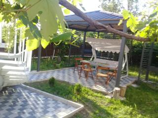 Guest house Medea - Kutaisi - 0