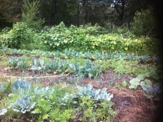 earl domaine du plec - Salaunes - 4