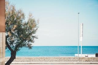 Terradamare - Monopoli - 1