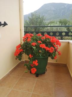Hotel Patelis - Poúlithra - 6