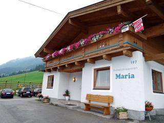 Ski & Bike Pension Maria - Saalbach-Hinterglemm - 9