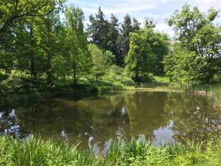 Ferienhaus Kirchturmblick bei Quedlinburg - 5