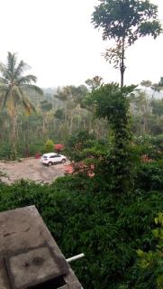 The Blue Mountains Estate Stay - Madikeri - 2