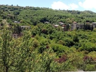 Best Host - Sighnaghi - 1