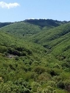 Best Host - Sighnaghi - 9