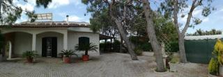 Casa vacanze il Noce - Aradeo - 1