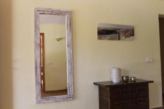 Finca Verde - Llucmajor - 5