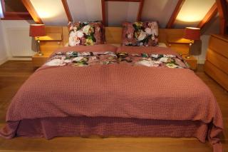 B&B Kamperfoelie - Gorssel - 6