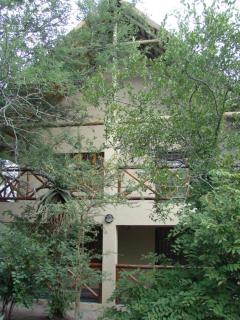 677Hornbill - Marloth Park - 8