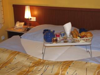 Aparthotel Austria Suites - Prague - 3