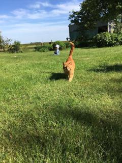 Bauernhof Steffens - 3