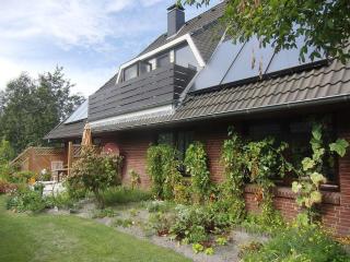 Haus Kahlke - Sankt Peter-Ording - 7