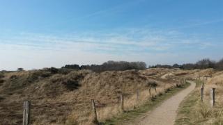 Haus Eiderblick-Wohnung Hooge - Sankt Peter-Ording - 9