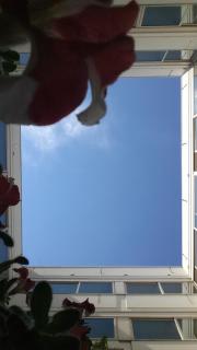 Hotel Miramare - Giulianova - 1