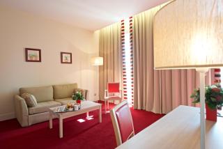 Hôtel du Parc - Salies-de-Béarn - 3