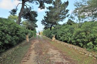 Dimora Relais Excelsa - Gallipoli - 2