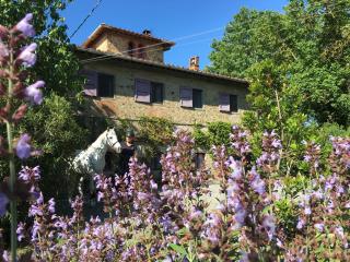 Il Paretaio - Barberino di Val d'Elsa - 3