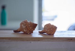 Stella's Beach House - 0