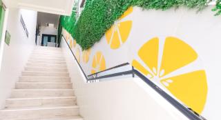 Lime Hotel Boracay - Boracay - 7