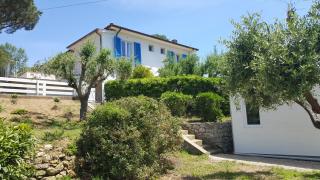 B&B La Casa degli Ulivi - Procchio - 2