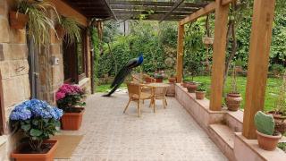 Appartamenti Casa Santi - Portoferraio - 7