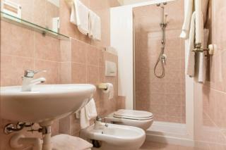 Hotel Pace - Torri del Benaco - 8