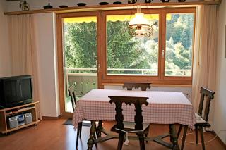 Monami Apartments Klosters, Apt. Solavers No 1 - Klosters - 3
