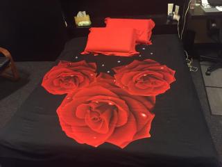 RomPromo Plus Accommodation - Bucharest - 9