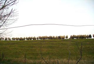 Ferienwohnung Lumme - 2