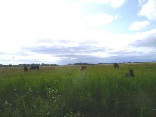 Ferienwohnung Lumme - 4