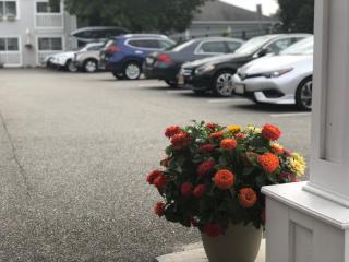 SeaCoast Inn - Hyannis - 7
