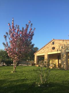 Agriturismo Podere Micitto - Usi - 8