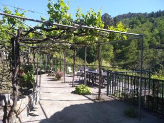 Casa en Viñoas (Ribeira Sacra) - Viñoás - 5