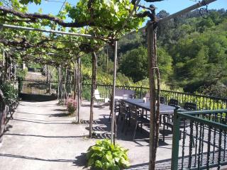 Casa en Viñoas (Ribeira Sacra) - Viñoás - 2