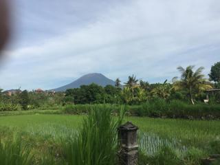 Pondok Intaran - Karangasem - 7
