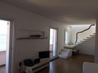 Anzio exclusive terrace - Anzio - 2