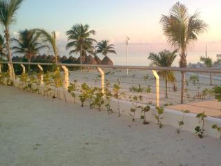La Amada Residences Luxury - Cancún - 3
