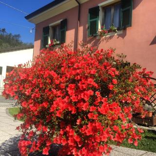 Il Ghiretto Appartamento - Riccò del Golfo di Spezia - 2