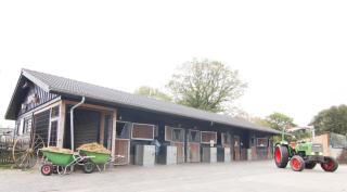 4 pers. Veluwelodge met Sauna - 1