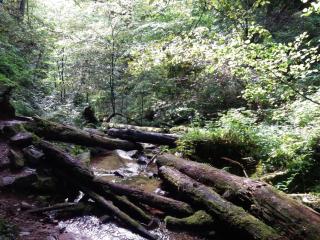 Holiday park- Scout - 9