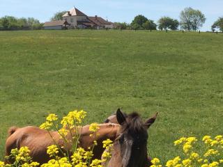 Gite Du Colombier - Le Fied - 5