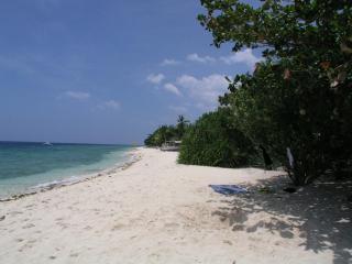 Dolphin House Resort Moalboal - Moalboal - 7