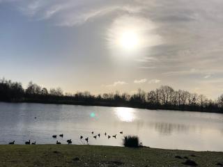 Vakantiewoning ‘t Reigersnest - Zonhoven - 0