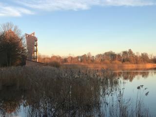 Vakantiewoning ‘t Reigersnest - Zonhoven - 2